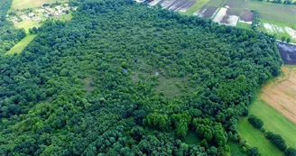 Tourbière de Bois Mou