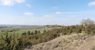 Coteaux Axe Pons Jonzac