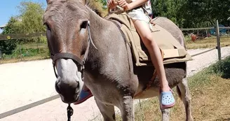 Balade avec âne - Asinerie des Varennes