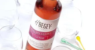 Vignoble H. Begey Vignoble H. Begey