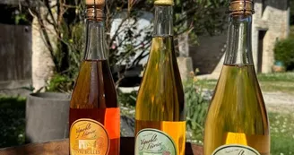 Vignoble Février