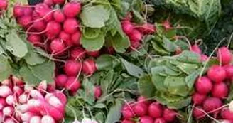 Marché de Breuil-Magné