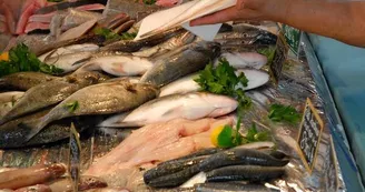 Marché de Fouras les Bains