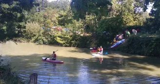 Balade verte en canoë dans le marais Rochefortais