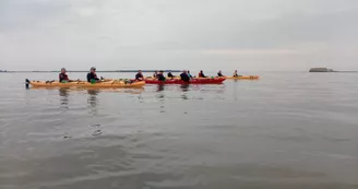 Randonnée et Escale sur l'île d'Aix au cœur du parc marin