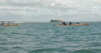 Randonnée et Escale sur l'île d'Aix au cœur du parc marin