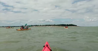 Randonnée et Escale sur l'île d'Aix au cœur du parc marin