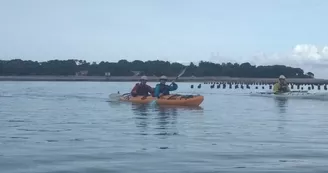 Randonnée et Escale sur l'île d'Aix au cœur du parc marin