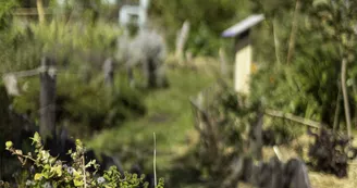 Ancienne école de médecine navale