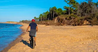 Fat Sand Bikes 17 - Ronce-les-Bains