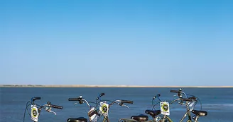 Cyclo-Trott La Palmyre - Les Mathes