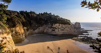 Plage du Concheau de Suzac