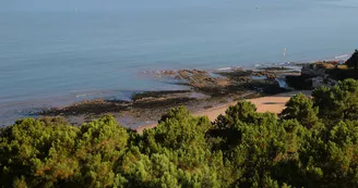 Plage du Concheau de Suzac