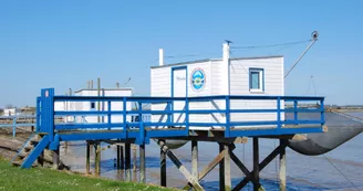 AUPM - Le Carrelet Marie