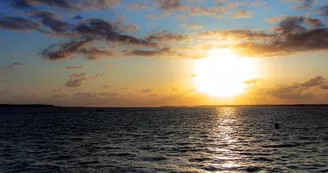 Point de vue - La Place Brochard