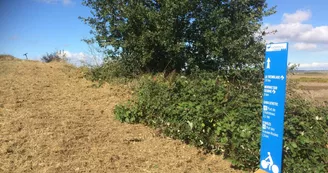 Point de vue - Beauregard