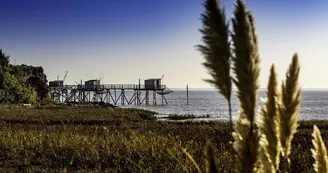 Point de vue - La Falaise du Caillaud