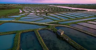 Point de vue - La Pointe de L'Éguille