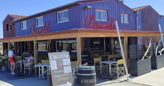 L'Écaille Chiron Fils