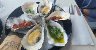 L'Écaille Chiron Fils