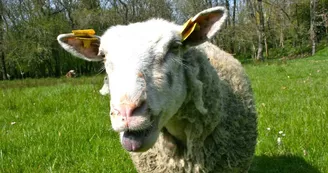 Ferme de la Gravelle