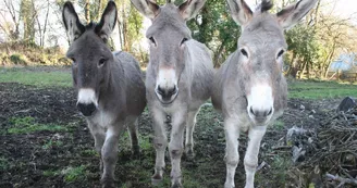 Ferme de la Gravelle