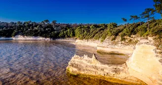 Conche de l'Arnèche