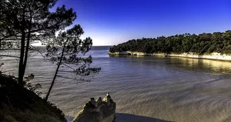 Conche de l'Arnèche