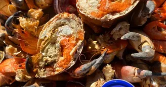 Les Viviers Charentais