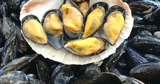 Les Viviers Charentais