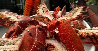 Les Viviers Charentais