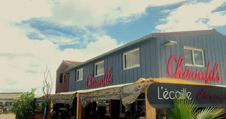 Huîtres Chiron Fils