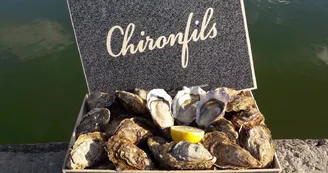 Huîtres Chiron Fils