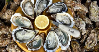 Huîtres Chiron Fils