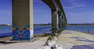 Point de vue - Le Mus de Loup