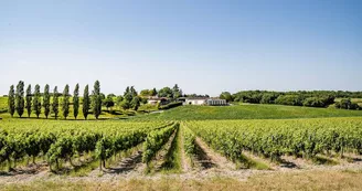 Domaine La Prenellerie