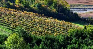 Point de vue - L'Échailler