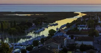 Point de vue - Le Belvédère