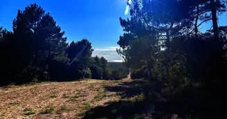 Point de vue - La Tour du Gardour