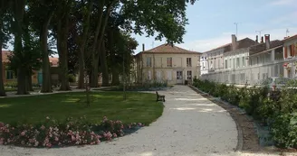 Les Platanes Centenaires du Jardin Public
