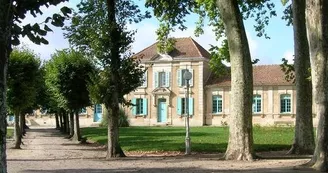 Les Platanes Centenaires du Jardin Public