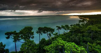 Point de vue - La Cèpe