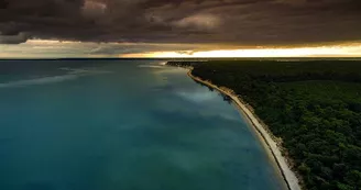 Point de vue - La Cèpe