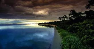 Point de vue - La Cèpe