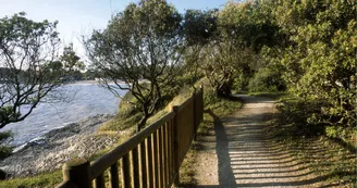 Le Sentier des Douaniers