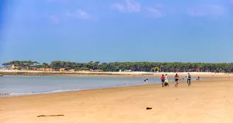 Plage des Pins de Cordouan