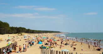 Plage des Pins de Cordouan