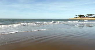 Plage des Pins de Cordouan