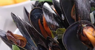 Restaurant du Camping Atlantique Parc