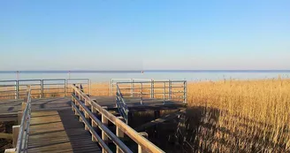 Point de vue - Le Promontoire